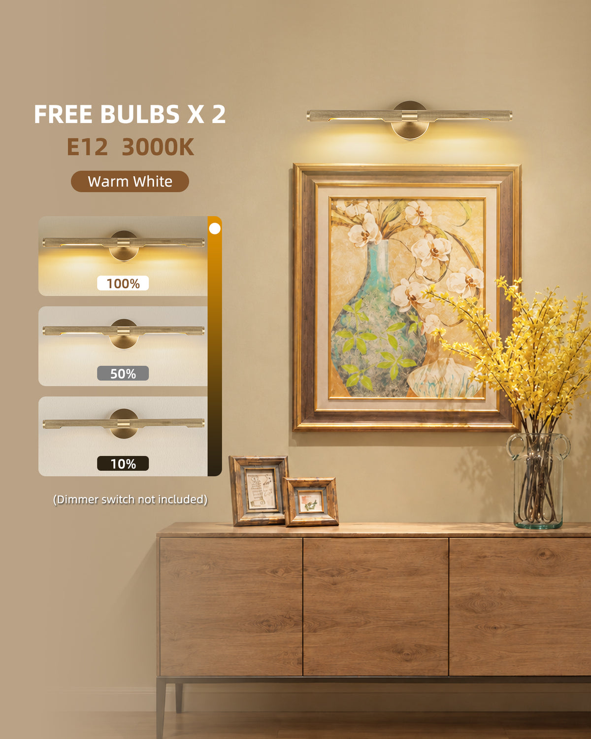 TIFEROR Brass Gold Picture Light, Dimmable LED Wall Lamps for Bedroom