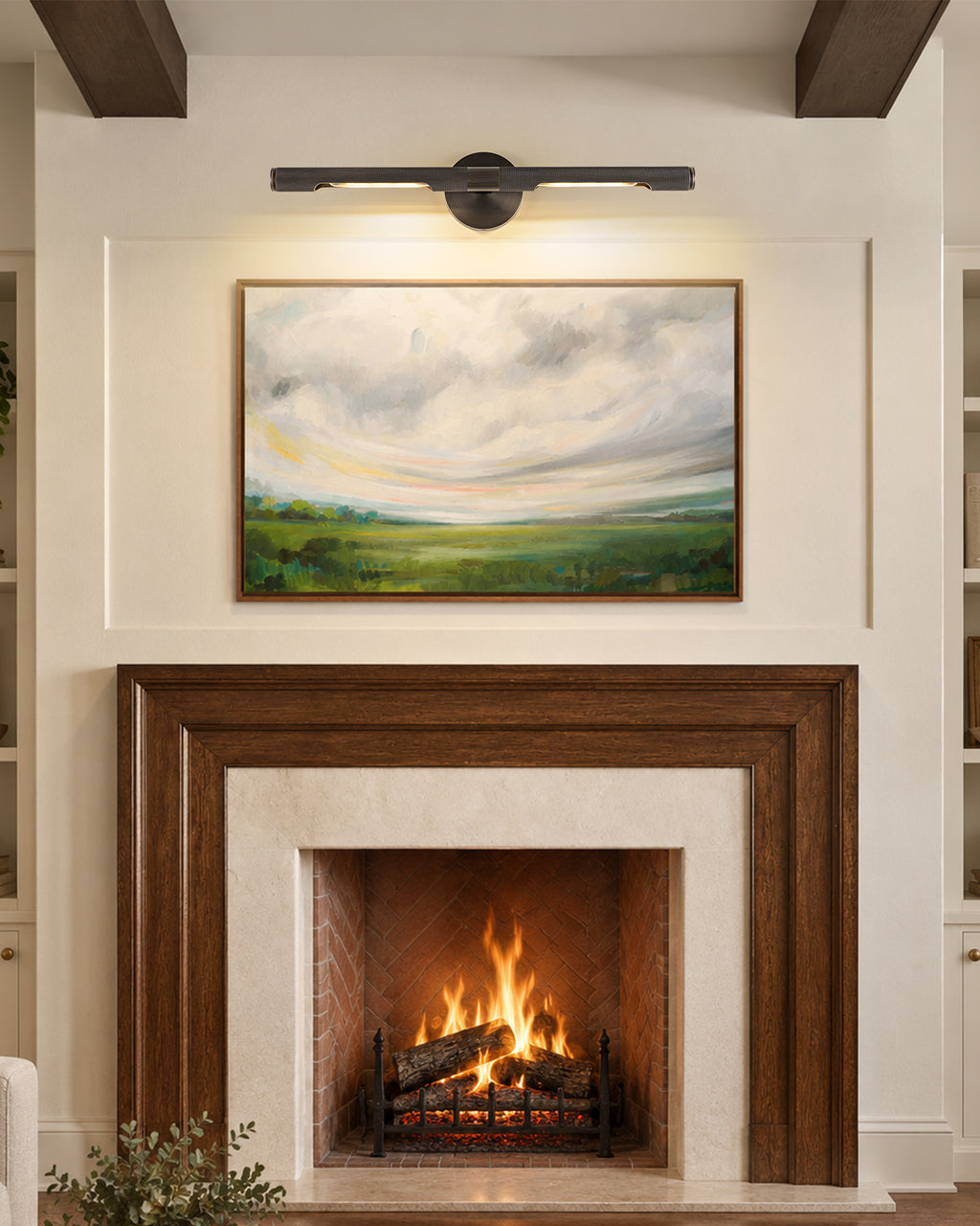 TIFEROR Brass Bronze Picture Light, Dimmable LED Wall Lamps for Bedroom