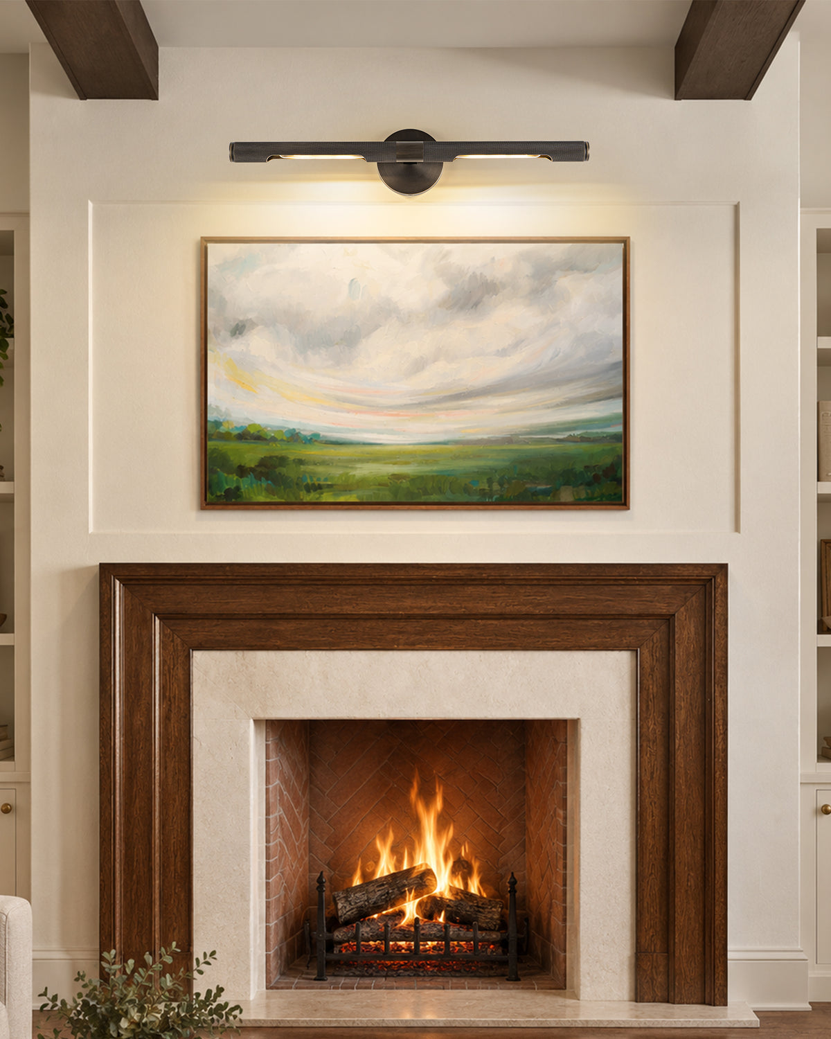 TIFEROR Brass Bronze Picture Light, Dimmable LED Wall Lamps for Bedroom